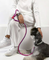 pepper color schnauzer lets the woman owner pets gently the dog is happy